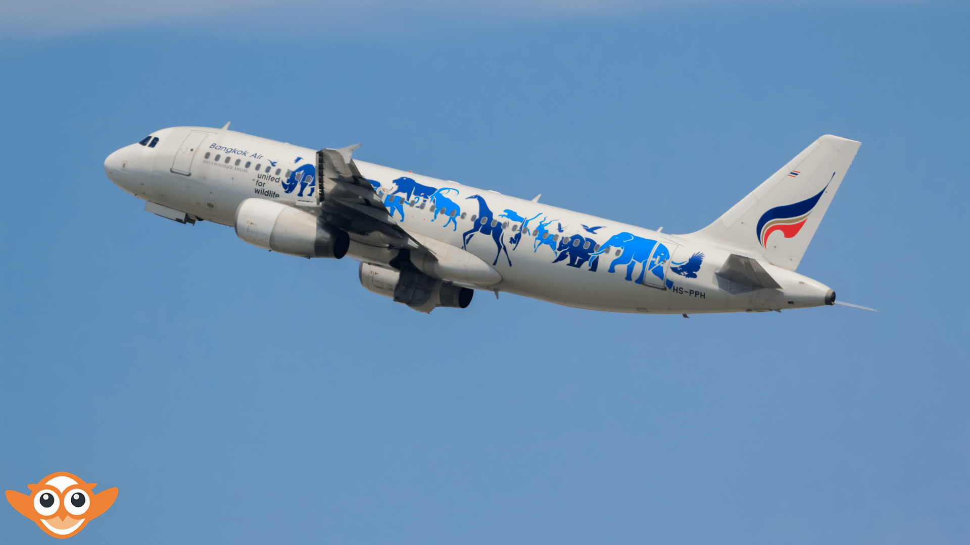 Bangkok Airways Dhaka Office Bangladesh - zooFamily | Air ticket - Visa ...