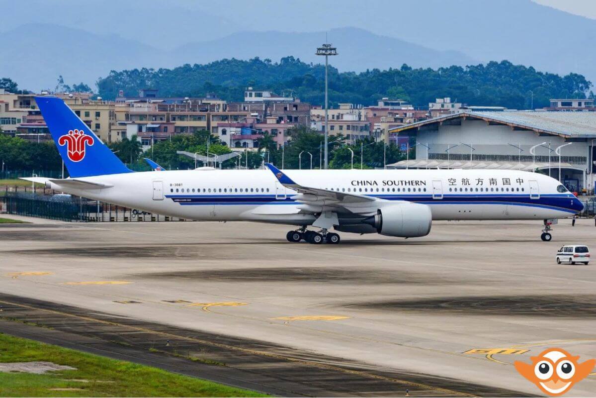 china southern airlines baggage claim